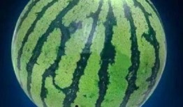 911爆料独家揭秘.热门大瓜每日必吃大瓜,每日必吃热门大瓜，一网打尽娱乐圈风云